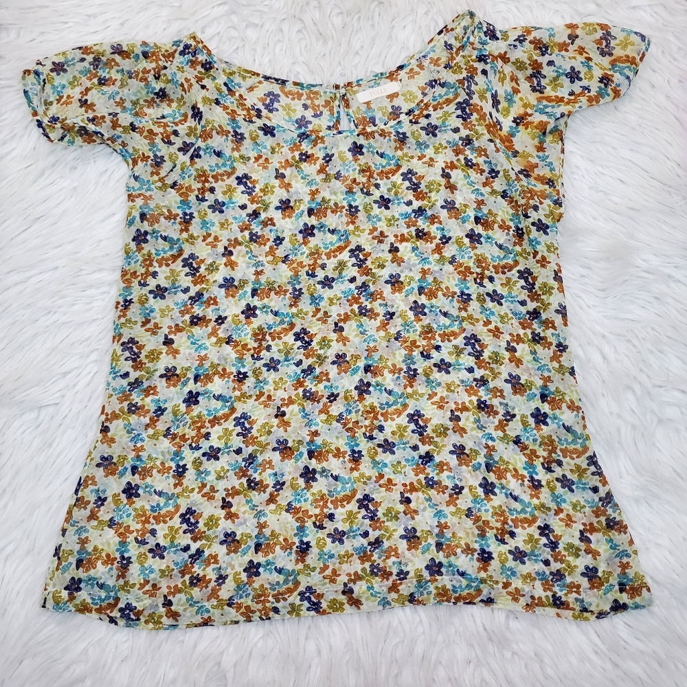 Tulle Flutter Sleeve Multicolor Sheer Floral Top